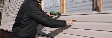 Best Custom Trim and Detailing for Siding  in Sorrento, LA